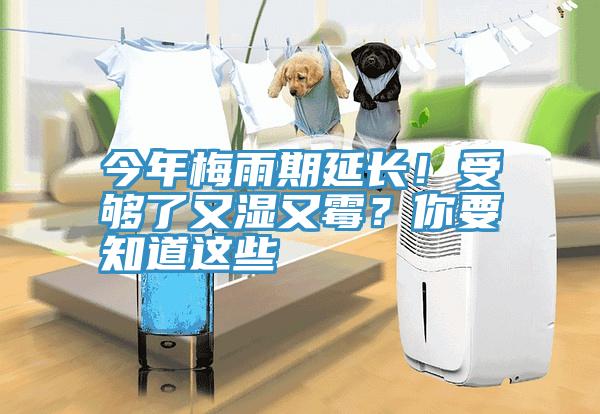 今年梅雨期延長！受夠了又濕又霉？你要知道這些