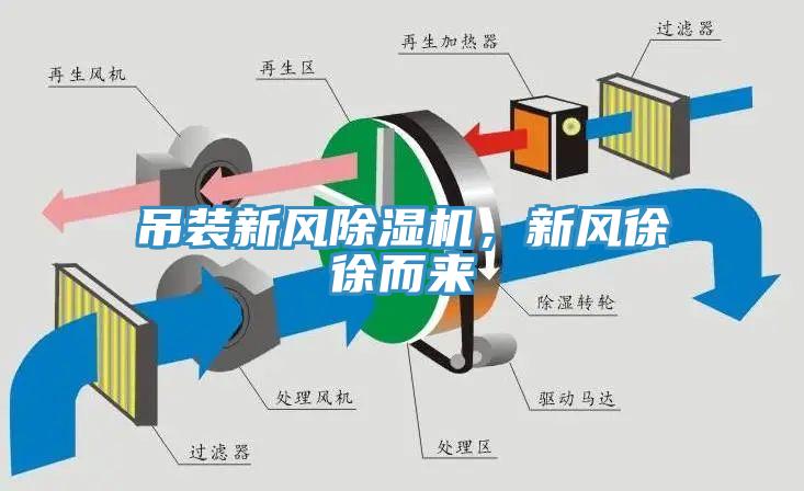 吊裝新風(fēng)除濕機(jī)，新風(fēng)徐徐而來(lái)