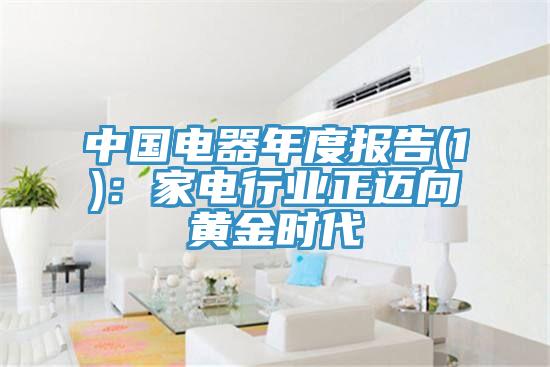 中國電器年度報告(1)：家電行業(yè)正邁向黃金時代