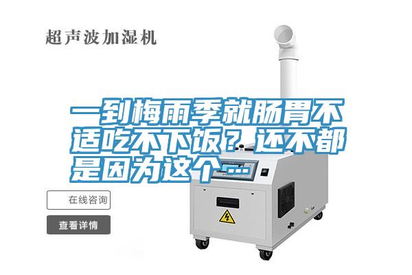 一到梅雨季就腸胃不適吃不下飯？還不都是因為這個…