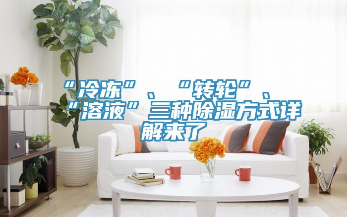 “冷凍”、“轉(zhuǎn)輪”、“溶液”三種除濕方式詳解來(lái)了