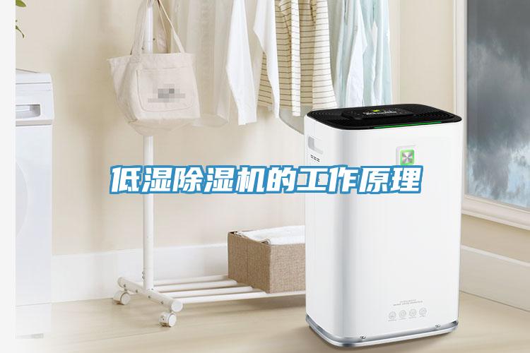 低濕除濕機的工作原理