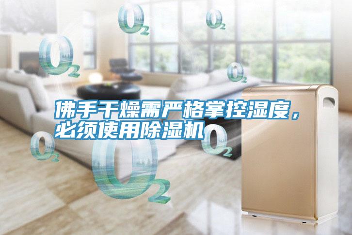 佛手干燥需嚴(yán)格掌控濕度，必須使用除濕機(jī)