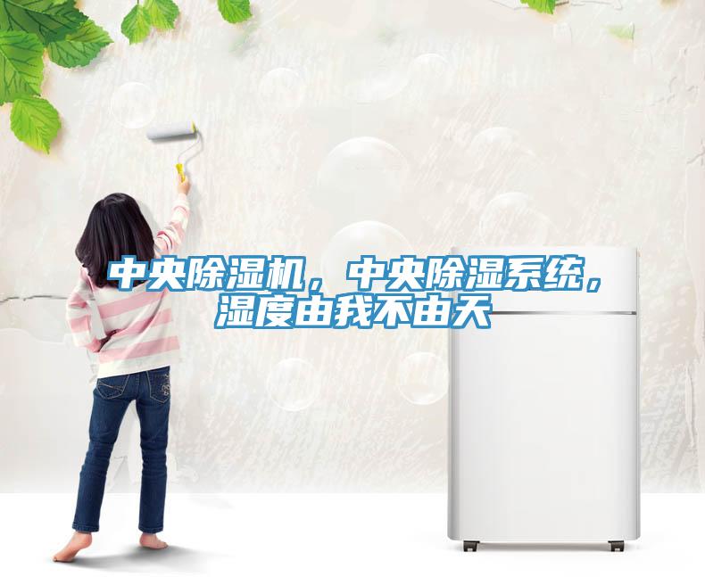 中央除濕機(jī)，中央除濕系統(tǒng)，濕度由我不由天