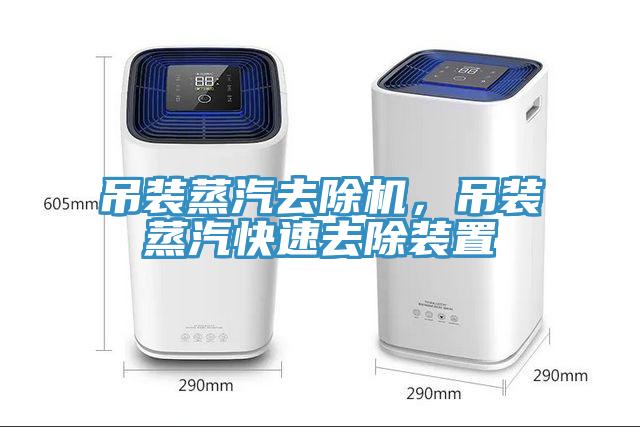 吊裝蒸汽去除機，吊裝蒸汽快速去除裝置