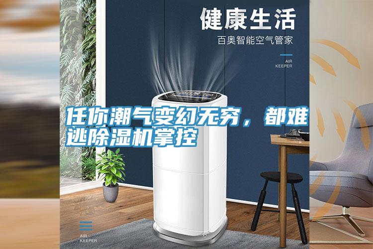 任你潮氣變幻無(wú)窮，都難逃除濕機(jī)掌控