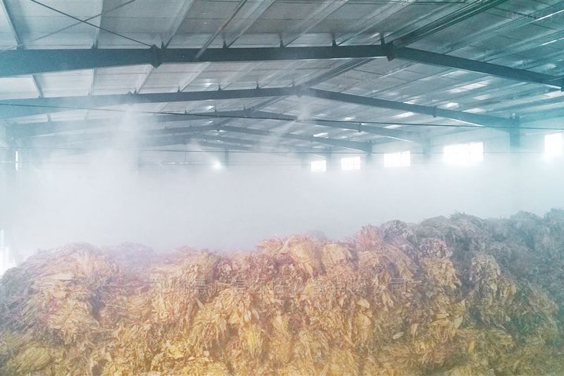 提升煙葉加工質(zhì)量，高效回潮很重要