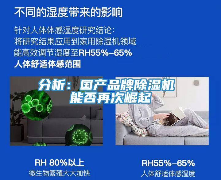分析：國產(chǎn)品牌除濕機 能否再次崛起