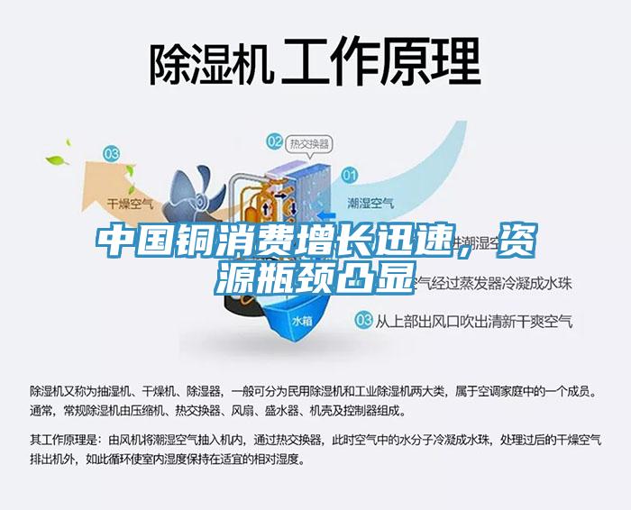 中國銅消費增長迅速，資源瓶頸凸顯