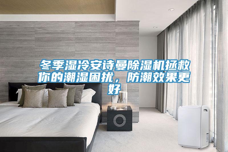 冬季濕冷安詩曼除濕機拯救你的潮濕困擾，防潮效果更好