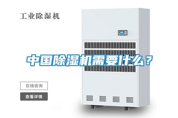 中國除濕機需要什么？