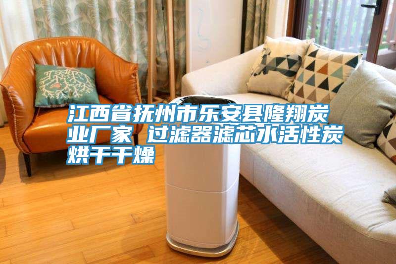 江西省撫州市樂(lè)安縣隆翔炭業(yè)廠家 過(guò)濾器濾芯水活性炭烘干干燥