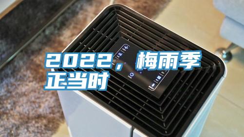 2022，梅雨季正當時
