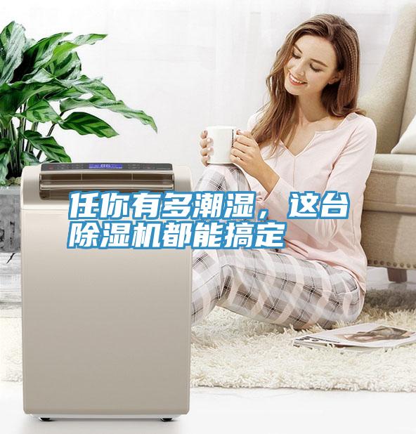 任你有多潮濕，這臺(tái)除濕機(jī)都能搞定