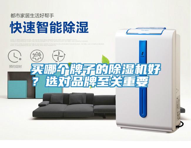 買(mǎi)哪個(gè)牌子的除濕機(jī)好？選對(duì)品牌至關(guān)重要