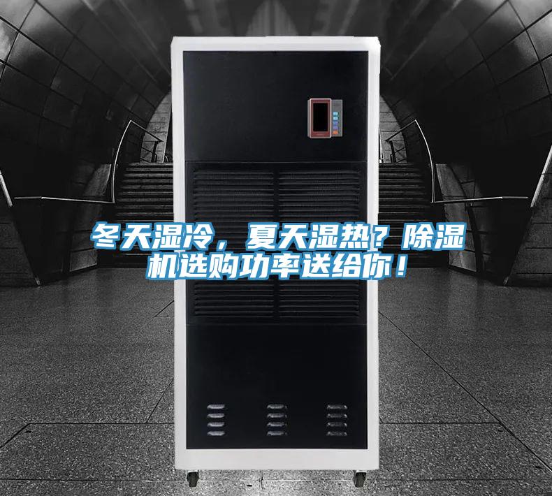 冬天濕冷，夏天濕熱？除濕機選購功率送給你！