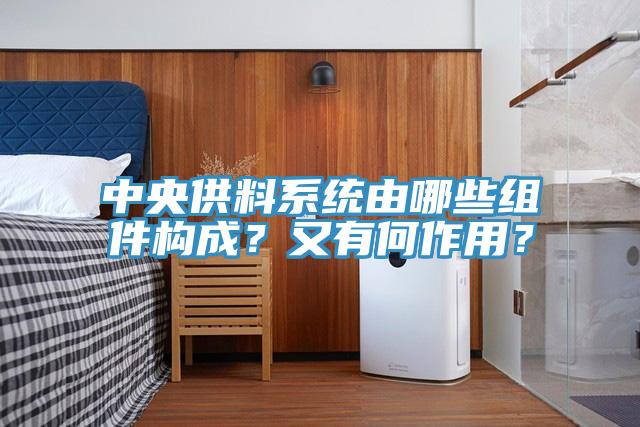 中央供料系統(tǒng)由哪些組件構(gòu)成？又有何作用？