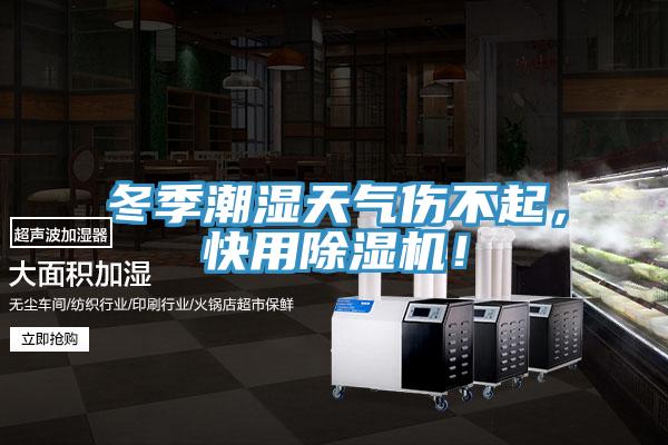 冬季潮濕天氣傷不起，快用除濕機(jī)！