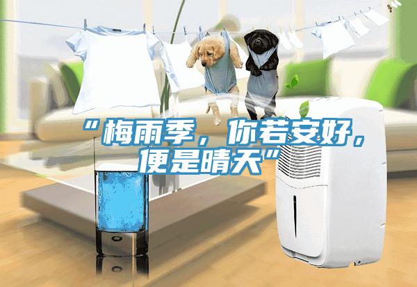 “梅雨季，你若安好，便是晴天”