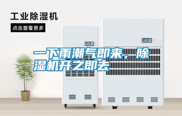 一下雨潮氣即來，除濕機開之即去