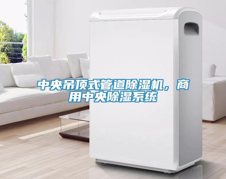 中央吊頂式管道除濕機，商用中央除濕系統(tǒng)