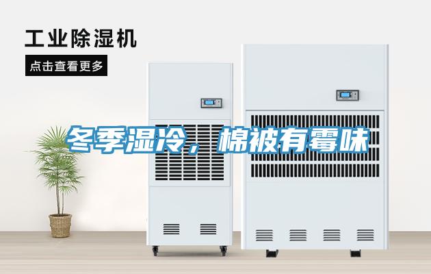 冬季濕冷，棉被有霉味