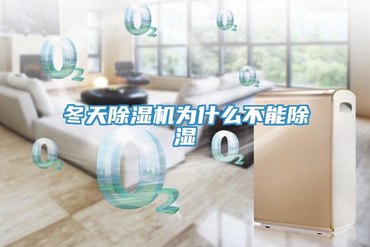 冬天除濕機(jī)為什么不能除濕
