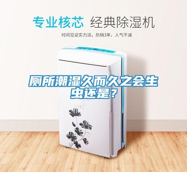 廁所潮濕久而久之會(huì)生蟲(chóng)還是？