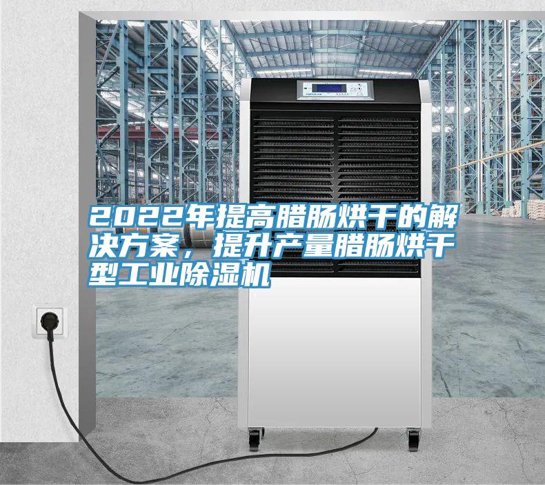 2022年提高臘腸烘干的解決方案，提升產(chǎn)量臘腸烘干型工業(yè)除濕機