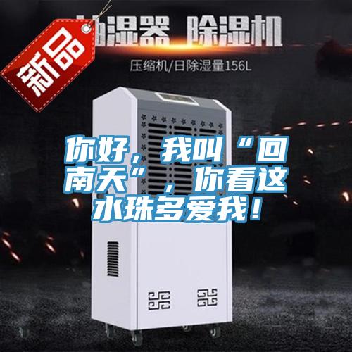 你好，我叫“回南天”，你看這水珠多愛我！