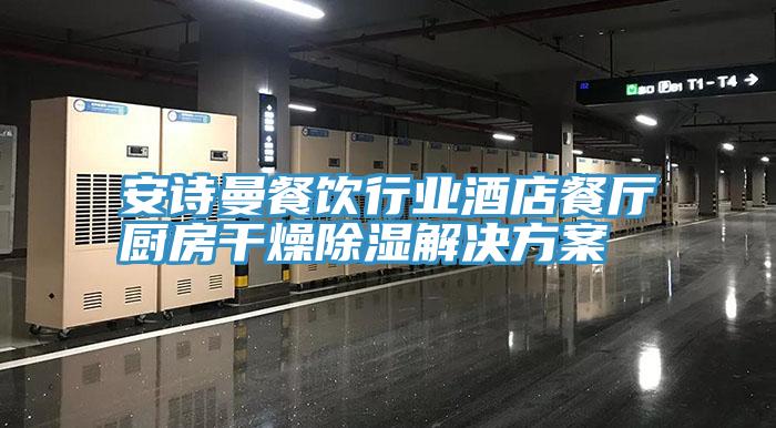 安詩(shī)曼餐飲行業(yè)酒店餐廳廚房干燥除濕解決方案