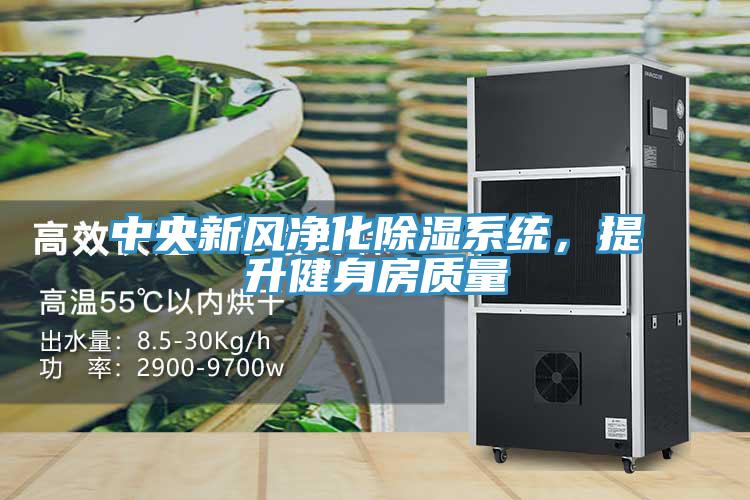 中央新風(fēng)凈化除濕系統(tǒng)，提升健身房質(zhì)量