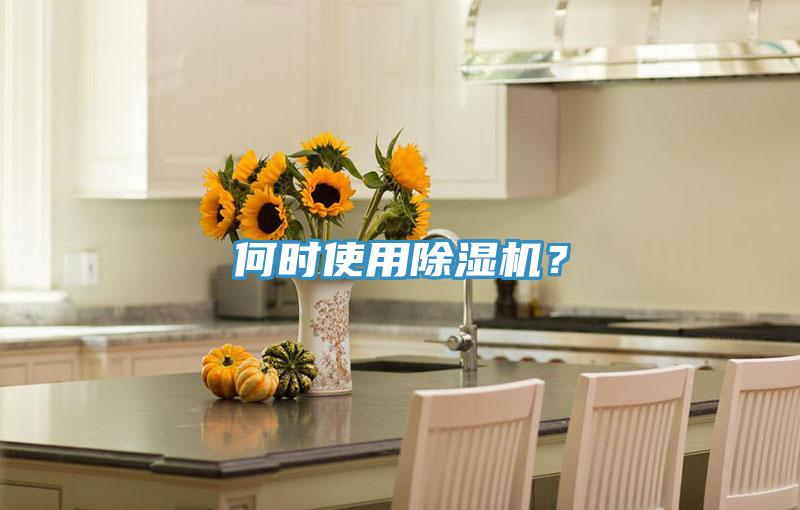 何時(shí)使用除濕機(jī)？