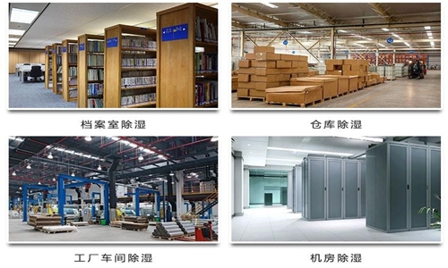 為什么竹筍烘干房需要除濕機？