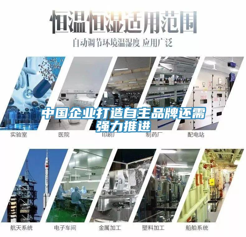 中國(guó)企業(yè)打造自主品牌還需強(qiáng)力推進(jìn)