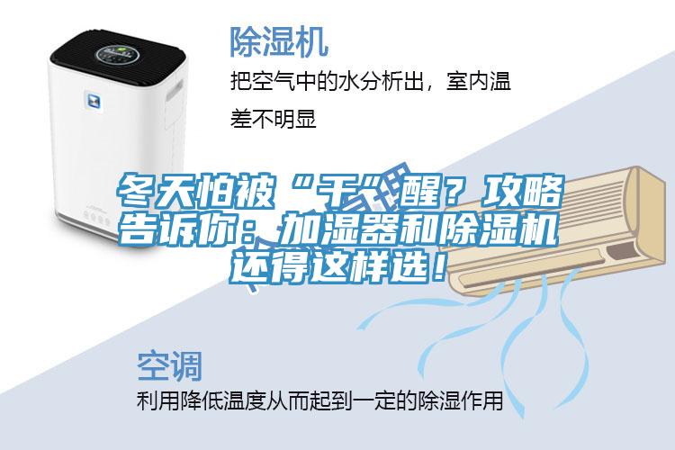 冬天怕被“干”醒？攻略告訴你：加濕器和除濕機還得這樣選！
