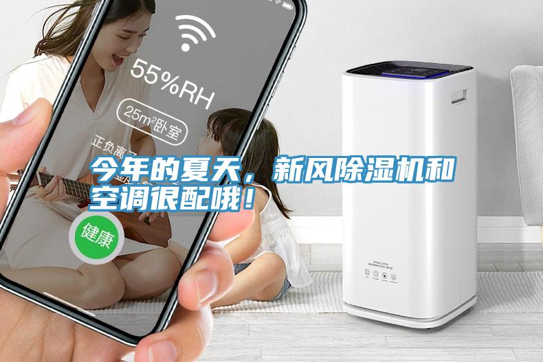 今年的夏天，新風(fēng)除濕機和空調(diào)很配哦！