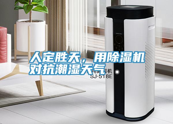 人定勝天，用除濕機對抗潮濕天氣