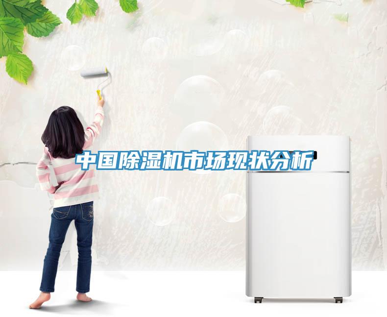中國除濕機市場現(xiàn)狀分析