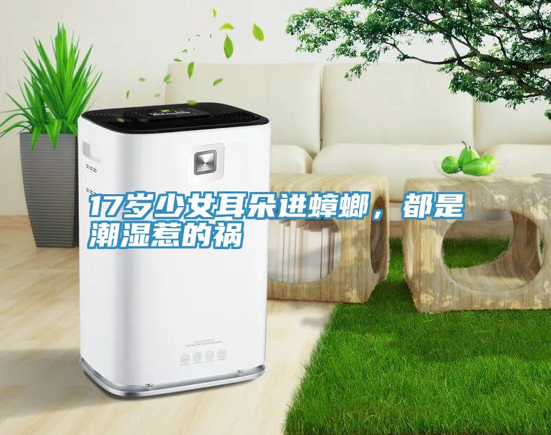 17歲少女耳朵進(jìn)蟑螂，都是潮濕惹的禍
