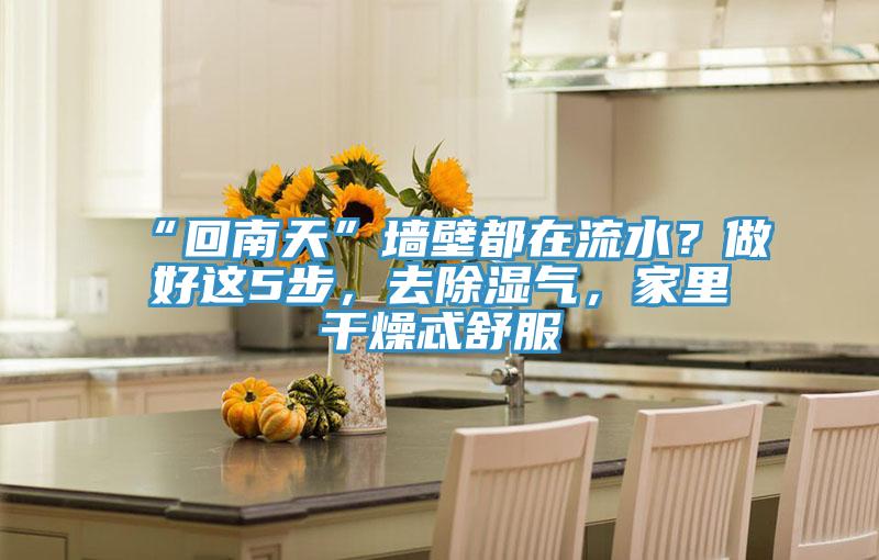 “回南天”墻壁都在流水？做好這5步，去除濕氣，家里干燥忒舒服