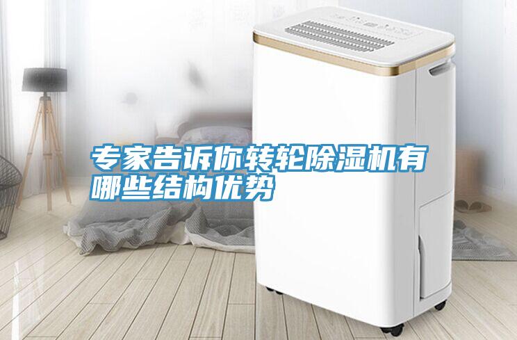 專家告訴你轉(zhuǎn)輪除濕機(jī)有哪些結(jié)構(gòu)優(yōu)勢(shì)