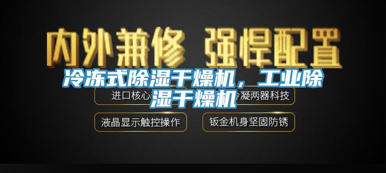 冷凍式除濕干燥機(jī)，工業(yè)除濕干燥機(jī)
