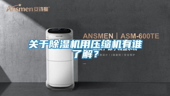 關(guān)于除濕機(jī)用壓縮機(jī)有誰了解？