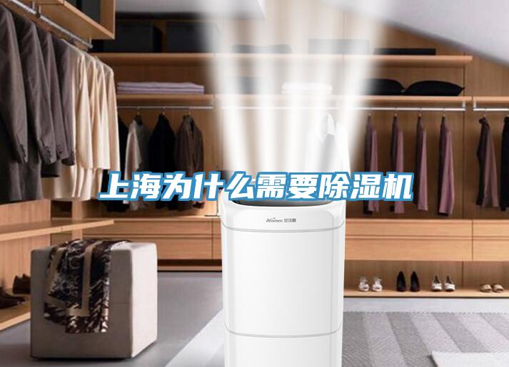 上海為什么需要除濕機(jī)