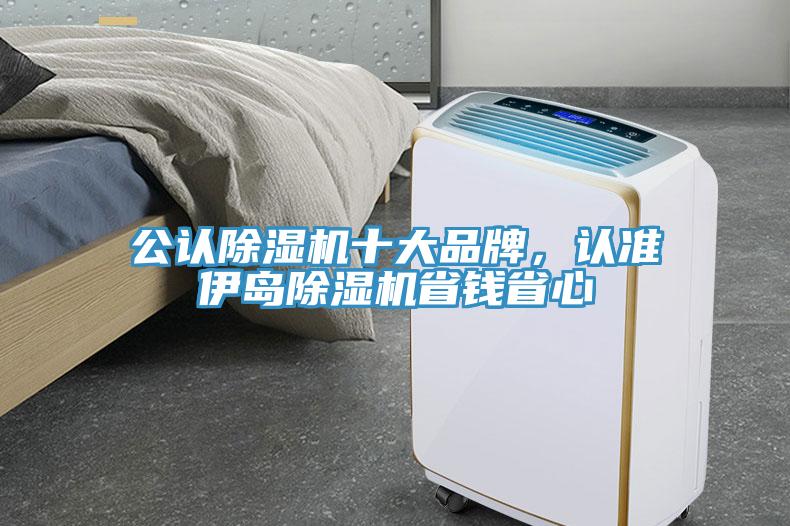 公認除濕機十大品牌，認準伊島除濕機省錢省心