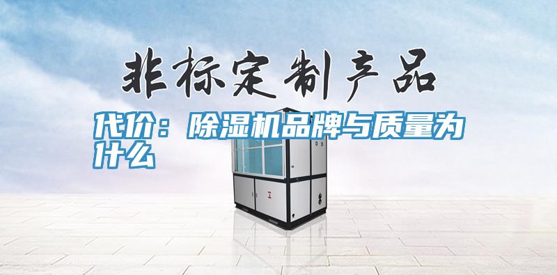 代價：除濕機(jī)品牌與質(zhì)量為什么