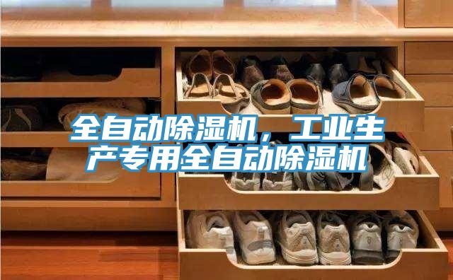 全自動除濕機，工業(yè)生產(chǎn)專用全自動除濕機