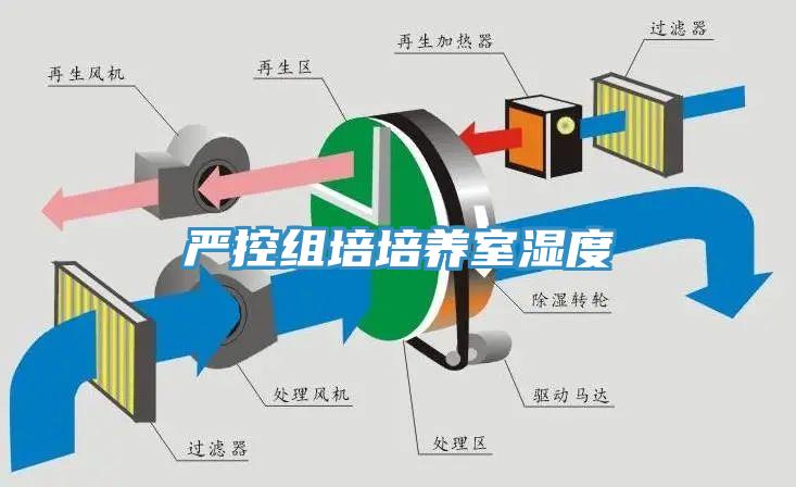 嚴(yán)控組培培養(yǎng)室濕度