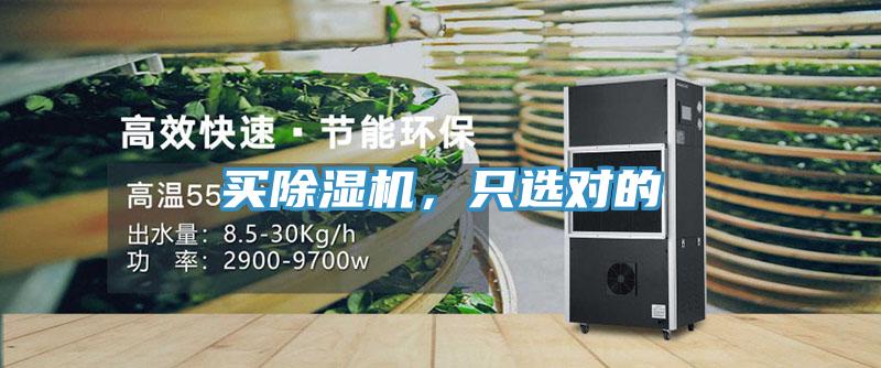 買除濕機，只選對的